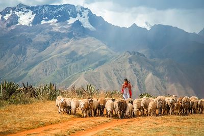 Maras - Cuzco - Pérou