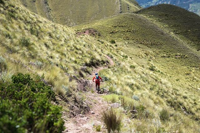 Multi-activités Pérou Arequipa et Canyon de Colca