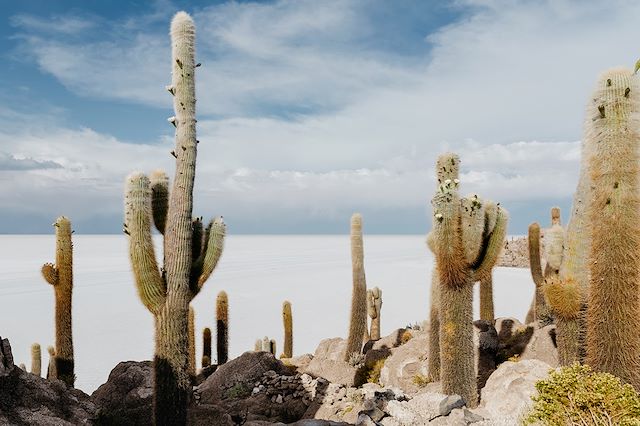 Randonnée Pérou Uyuni et Sud Lipez