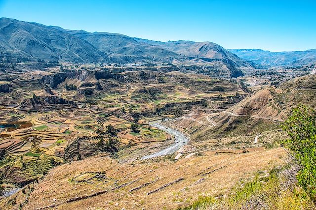 Découverte Pérou Arequipa et Canyon de Colca