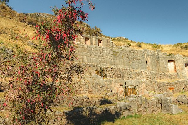 Découverte Pérou Arequipa et Canyon de Colca