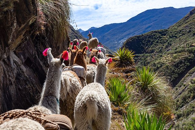 Randonnée Pérou Arequipa et Canyon de Colca
