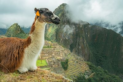 Le Machu Picchu 