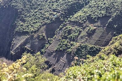 Site Inca - Pérou