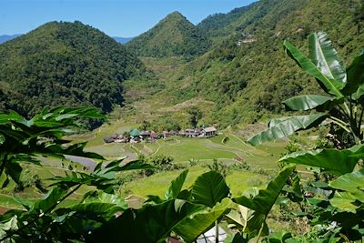 Rizières de Banaue - Province d'Ifugao - Région administrative de la Cordillère - Luçon - Philippines