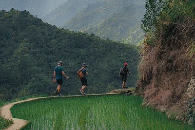 Trek dans les rizières de Batad
