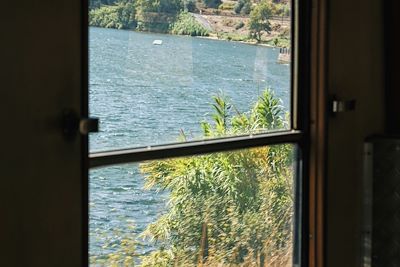 Train - Douro - Portugal