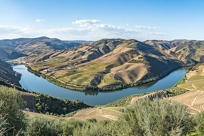 Vue sur les vignobles en terrasses de la vallée du Douro - Portugal