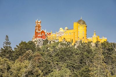 Château Palacio Nacional da Pena - Sintra - Portugal