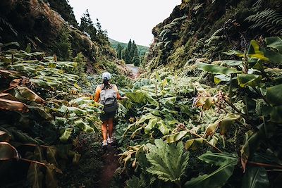 Randonnée aux Açores - Portugal