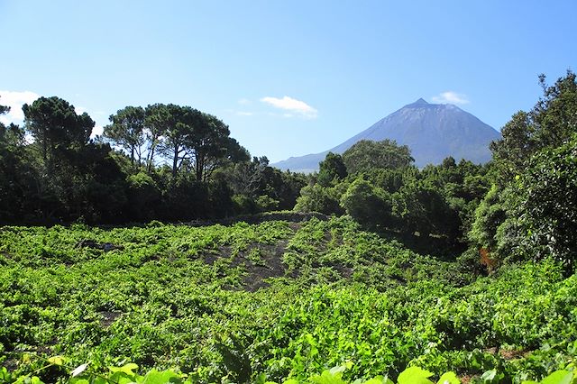 Randonnée Portugal Açores