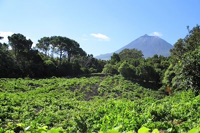 Voyage Açores (Portugal)