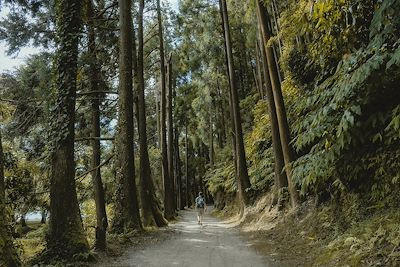 Randonnée - Açores - Portugal