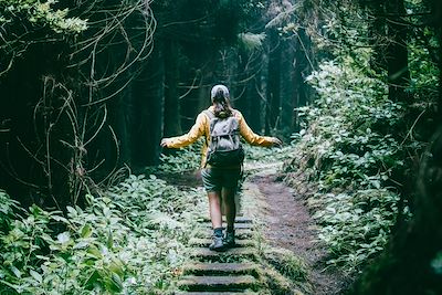 Randonnée en forêt - Açores - Portugal