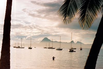 Ile de Moorea