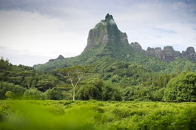 Tahiti, Moorea, Mont Rotui 