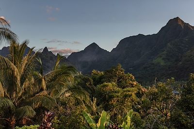 Montagnes de la baie d'Opunohu - Moorea - Polynésie française