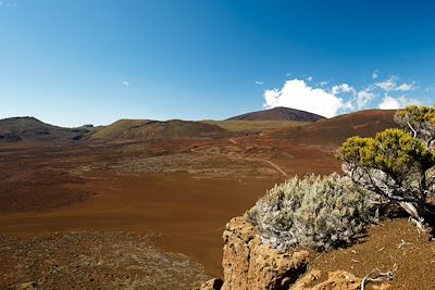 Plaine des Sables - Réunion