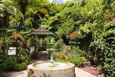 Maison Folio - Hellbourg - Salazie - La Réunion