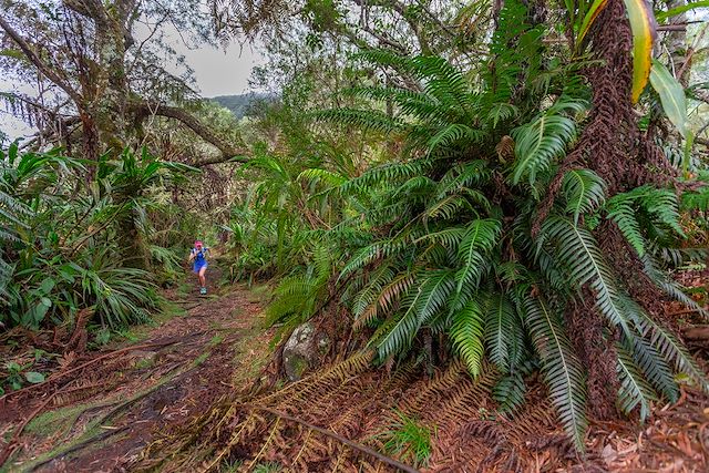 Trek Réunion