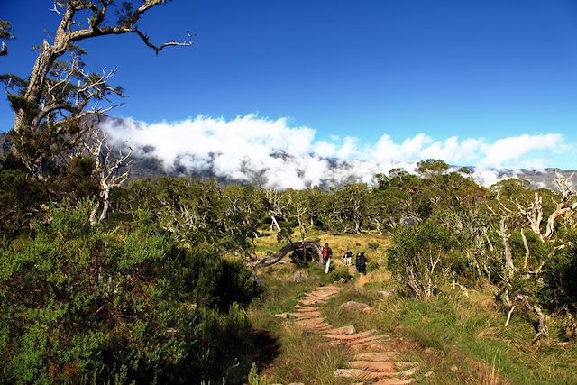 Randonnée Réunion