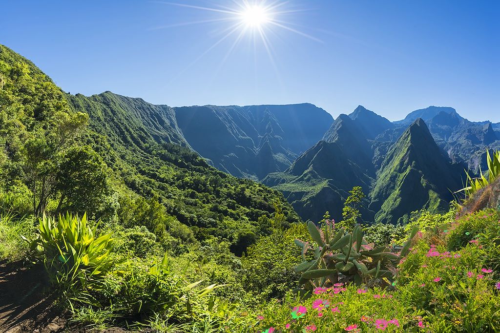 Découverte Réunion