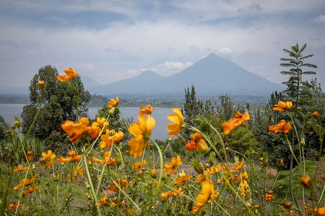 Safari Rwanda