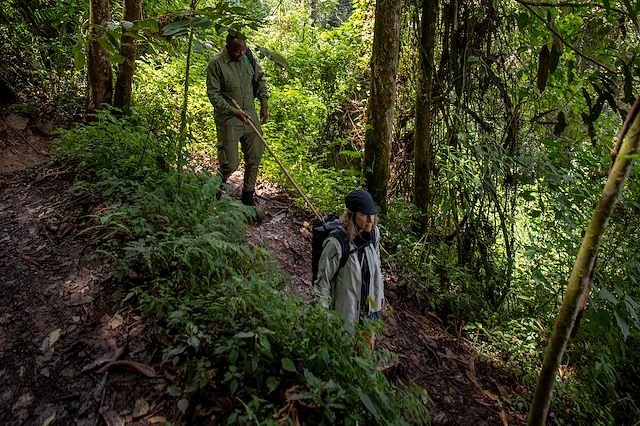 Safari Rwanda