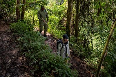 Rwanda & Ouganda, spécial treks dans les Virunga