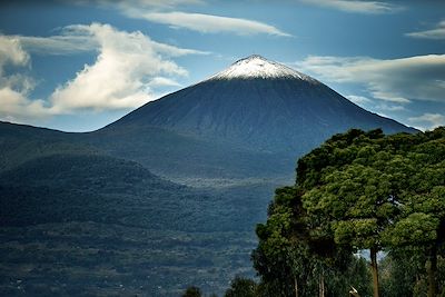 Parc national des volcans - Rwanda