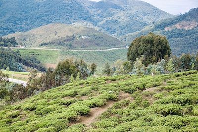 Rwanda