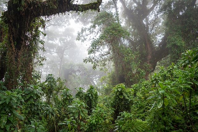 Randonnée Rwanda