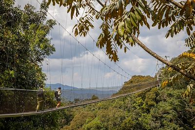  Pont suspendu, Parc National de Nyungwe