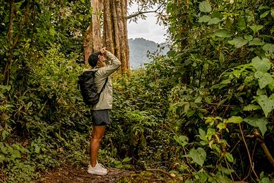 Randonnée, Parc National de Nyungwe