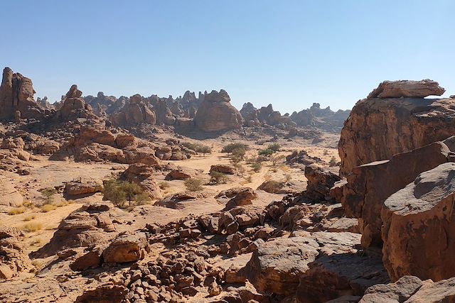Randonnée Arabie Saoudite
