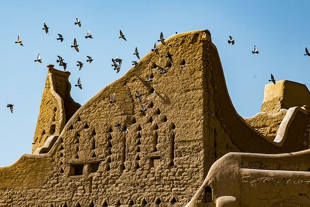 Découverte Arabie Saoudite