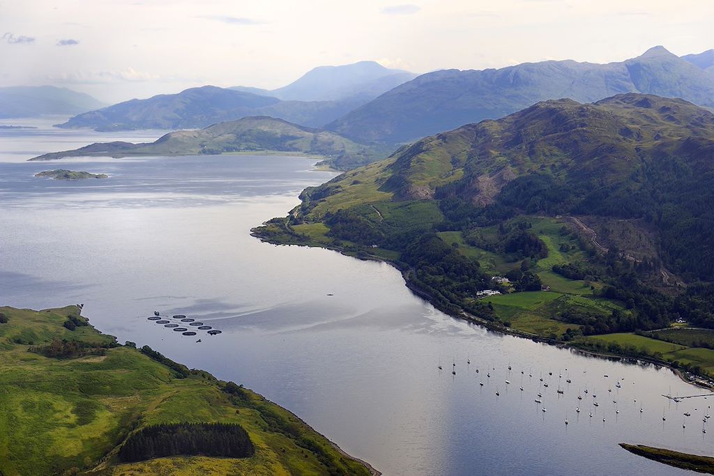 Voyage Ecosse