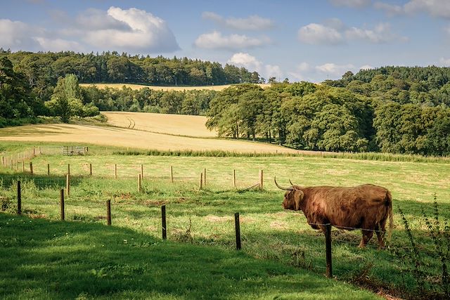 Randonnée Ecosse