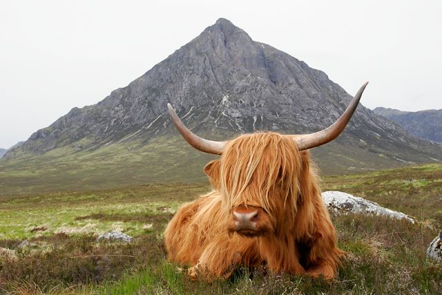 Randonnée Ecosse