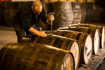 Distillerie - Ecosse - Royaume-Uni