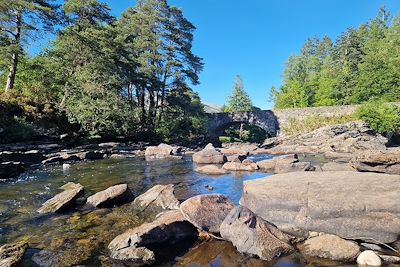 Falls of Dochart - Killin - Ecosse - Royaume-Uni