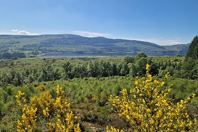 Glen Finglas - Ecosse - Royaume-Uni