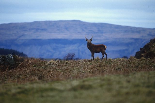 Randonnée Ecosse