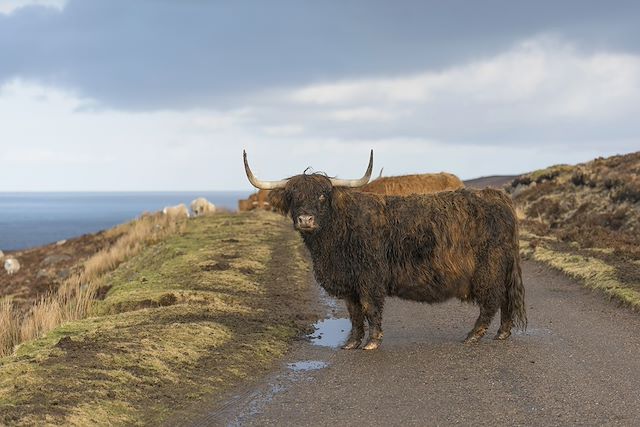 Découverte Ecosse Irlande du Nord