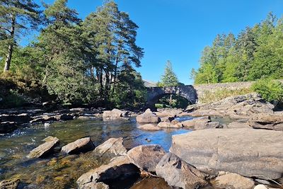 Falls of Dochart - Killin - Ecosse - Royaume-Uni