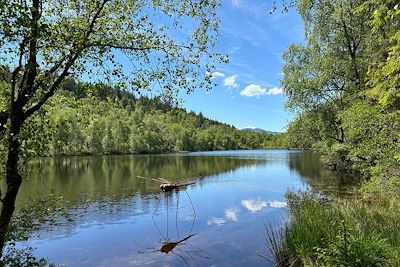 Libellule - Lochan Spling - Ecosse - Royaume-Uni