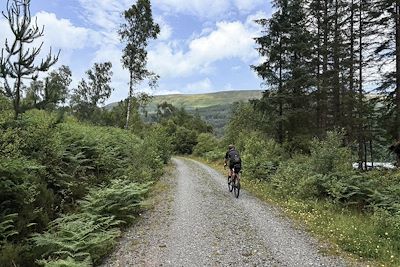 Gravel - Ecosse