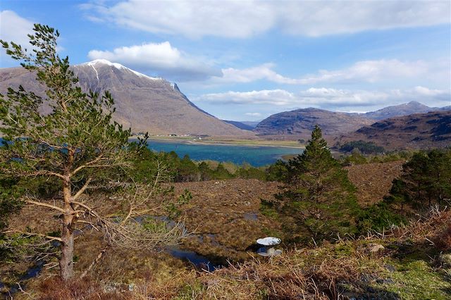 Découverte Ecosse