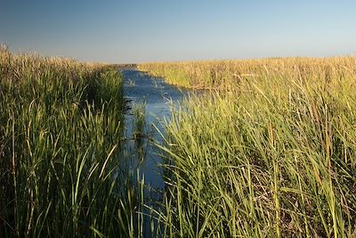 Parc national des Oiseaux du Djoudj - Sénégal