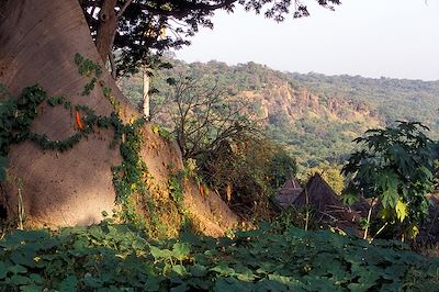 Sénégal oriental: terres secrètes bédik et bassari